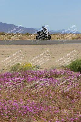 media/Mar-12-2023-SoCal Trackdays (Sun) [[d4c8249724]]/Turn 15 Inside Bloom (130pm)/